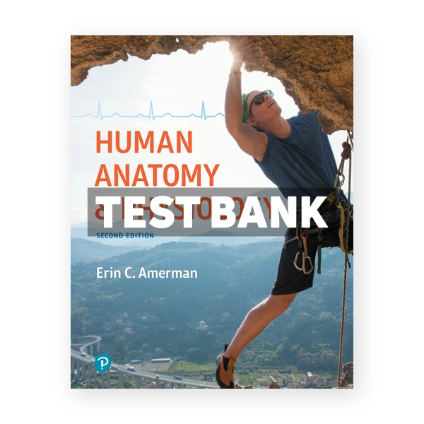 Human Anatomy and Physiology 2nd edition Amerman Test Bank